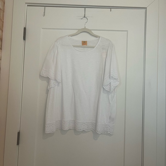 NWT Ruby Rd Plus Size Embroidered Jersey Knit Scoop Neck Short Sleeve Top - Picture 1 of 10